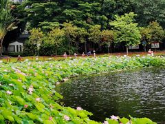 -荔湾湖公园