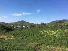 -云水涧亲子度假酒店