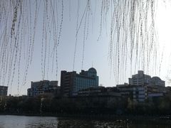 -文瀛公园