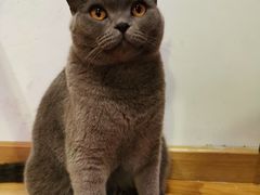 -壹人壹像工作室(购物公园店)