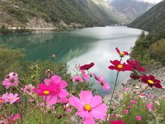-叠溪松坪沟景区