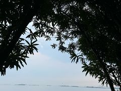 -上海吴淞炮台湾国家湿地公园