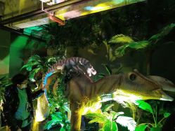 -恐龙探索乐园(磁器口店)