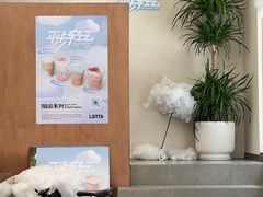 -LOTTA COFFEE(安居博文苑店)