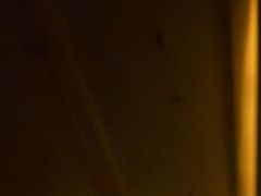 -泰谷玲抓龙筋SPA·泰式按摩(五一广场店)