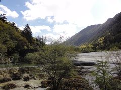 -黄龙山原始森林景区
