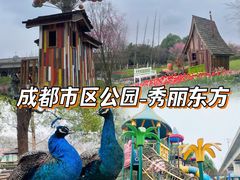 -秀丽东方