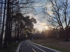 -采石矶景区