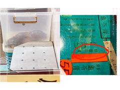 -海天堂(金銮大厦店)