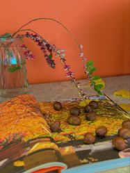 -新蝶变皮肤管理中心