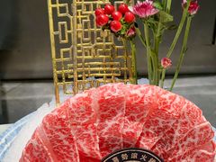 -喜聚薈·花膠雞海鮮火鍋(越秀店)