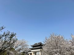-苏州上方山国家森林公园