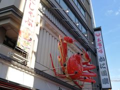 -蟹道乐(道顿堀本店)