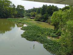 -中国湿地博物馆
