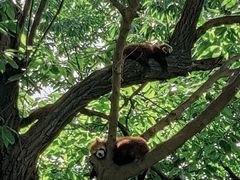 -西安秦岭野生动物园