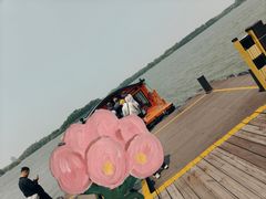 -苏州太湖国家湿地公园