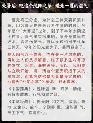 -雅曼妮spa美容养生