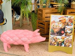 -WHEN PIGS FLY当猪飞