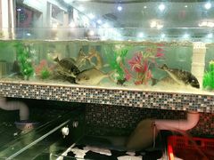 -巽寮印象美食部落餐厅·海鲜·地方特色菜(惠州体验店)