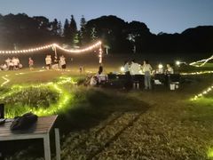 -福建鲤鱼洲酒店