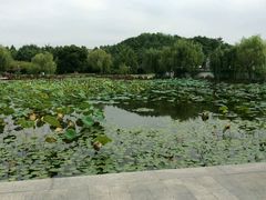 -玉山公园