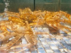 -上座·餐厅(阳光100店)