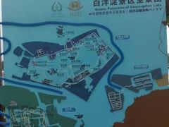 -白洋淀景区