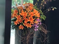 -上海鲜花港