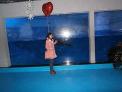 -蓬莱欧乐堡海洋极地世界