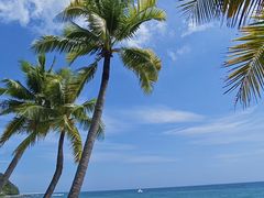 -日落吧·海景咖啡厅·餐酒吧·鸡尾酒·下午茶·乐队表演·浪漫夕阳·三亚文华东方酒店