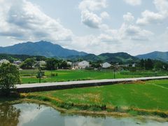 -黄牛肉馆·皖南土菜