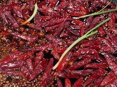 -铜元老码头鳝鱼火锅