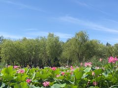-太阳宫公园