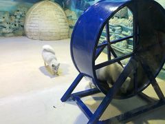 -华夏文旅海洋公园