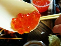 -上引水产