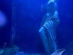 -太平洋海底世界