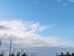 -菊园百果园