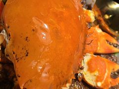 -荷风细雨·中国茶宴(碧云店)