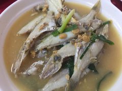 -蛇口康乐快餐鱼仔档(翠苑小区店)