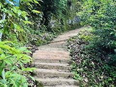 -青城山