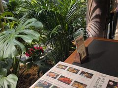 -菌自由丨野生菌火锅特色庭院餐厅(丽江古城店)