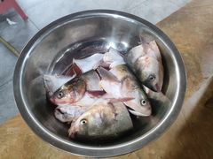 -老杨砂锅鱼庄