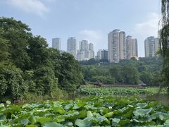 -龙头寺公园