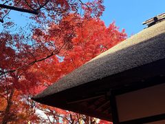 -常寂光寺