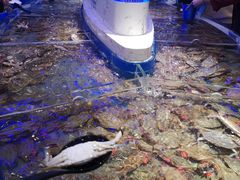 -澜悦港海鲜体验主题餐厅