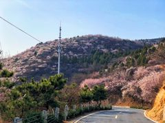 -妙峰山风景名胜区