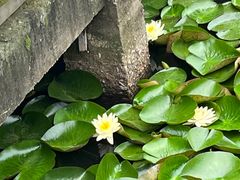 -船老大饭店(太滆街店)