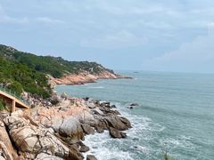-广东惠东海龟国家级自然保护区