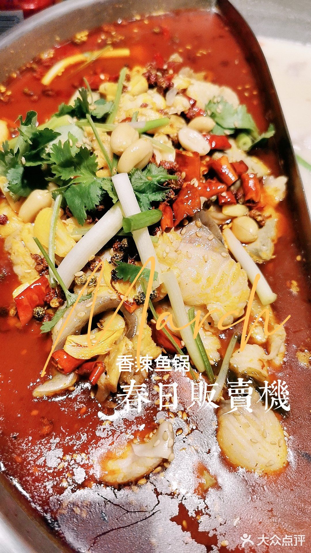 顺义不舍得推荐的宝藏小店-蜀老三黑豆花鱼火锅