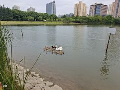 -黄兴公园